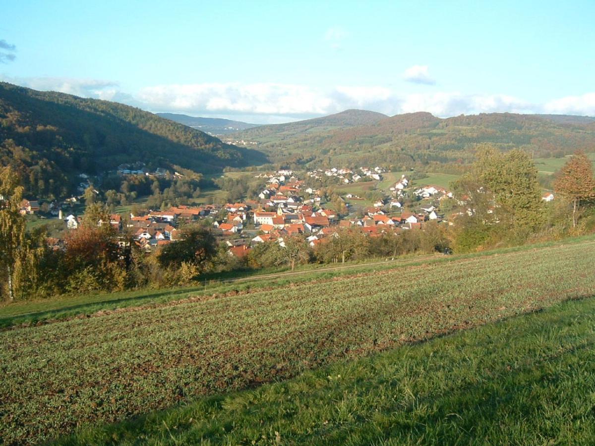 Ferienwohnung Hergenroeder Riedenberg  エクステリア 写真